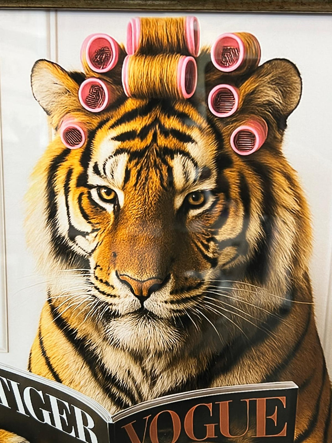 Jungle Animals on Toilet Quirky Wall Art Funny Prints with Black & Gold frame