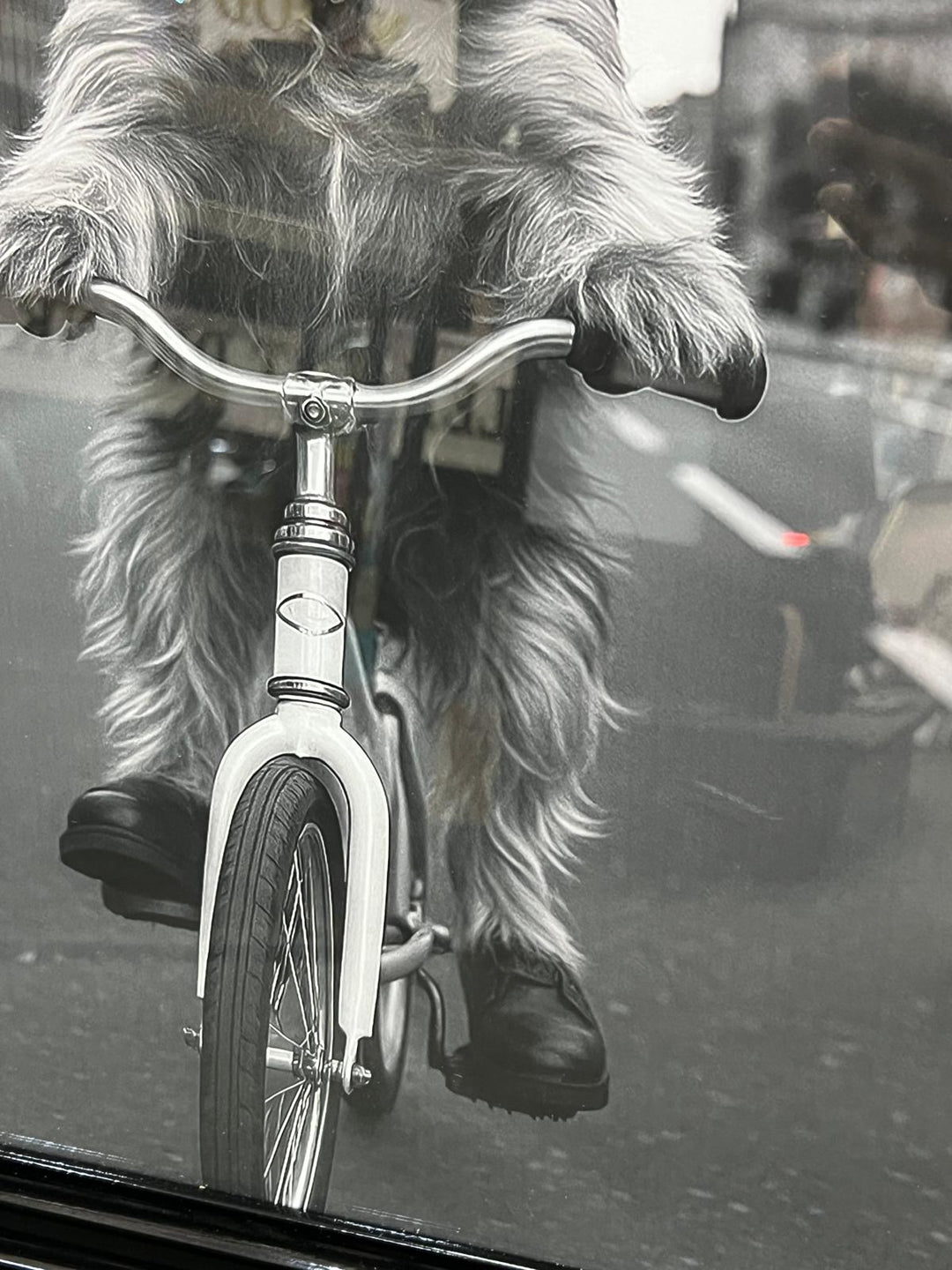 Black & White Adorable Dogs on Bicycles Black Framed Quirky Home Decor Picture