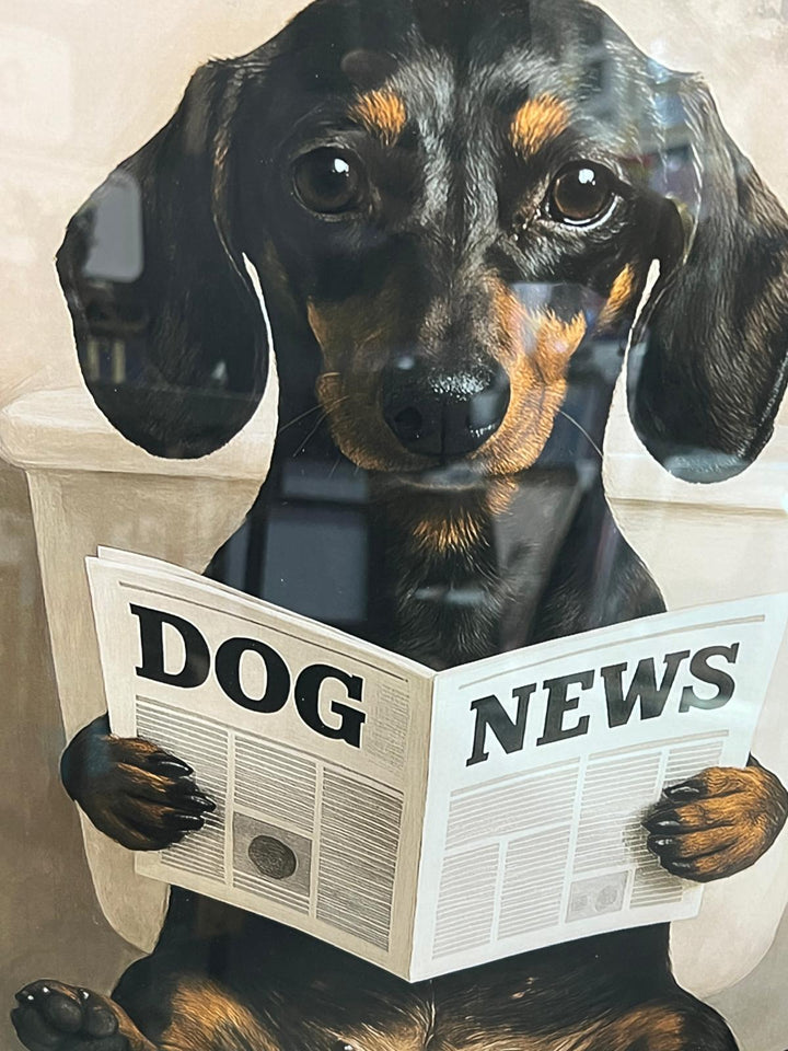 Quirky Dachshund Dog Wall Art on Toilet Reading Newspaper, Black & Gold frame