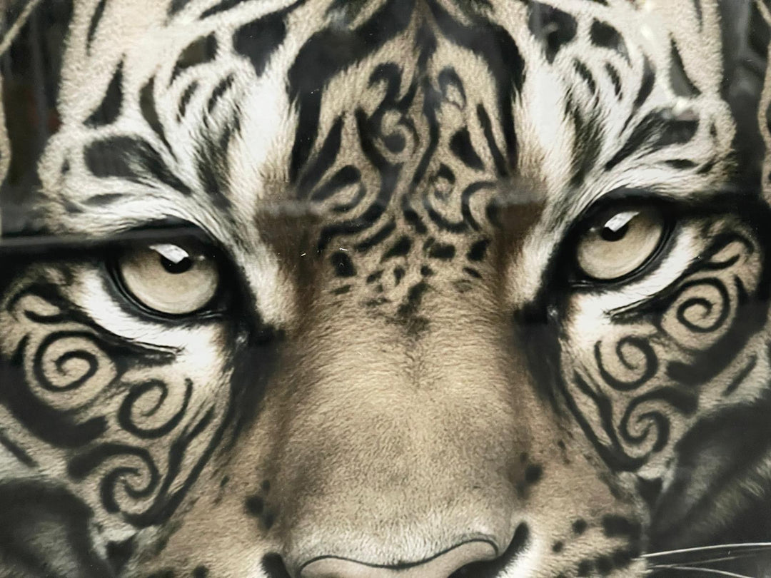 Lion & Tiger bold Tribal Tattoo Wall Art Jungle Animal Black Framed Picture
