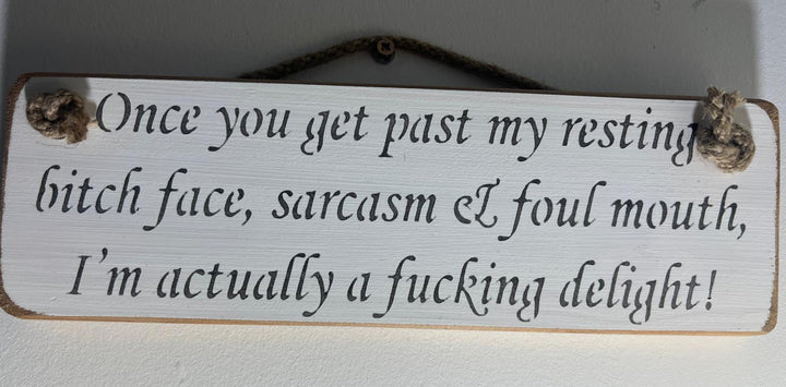Quirky & Funny Natural Wooden Rope Hanging Wall Art plaques white hand painted