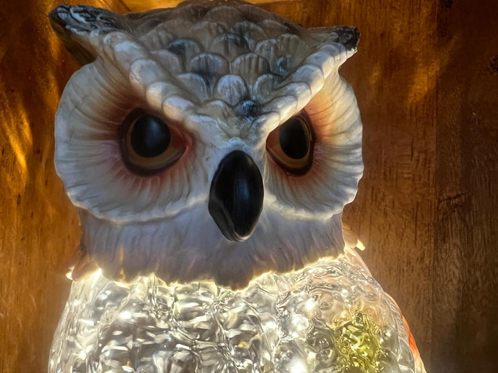 Owl Water Spinner Christmas Decoration Soothing Light-Up Festive Centrepiece