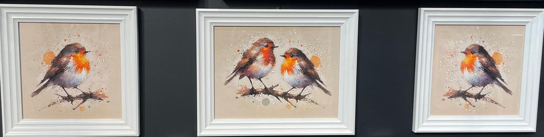 49CM-Robin Bird White Step Framed Picture wall art décor with fitments single or pair