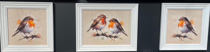 49CM-Robin Bird White Step Framed Picture wall art décor with fitments single or pair