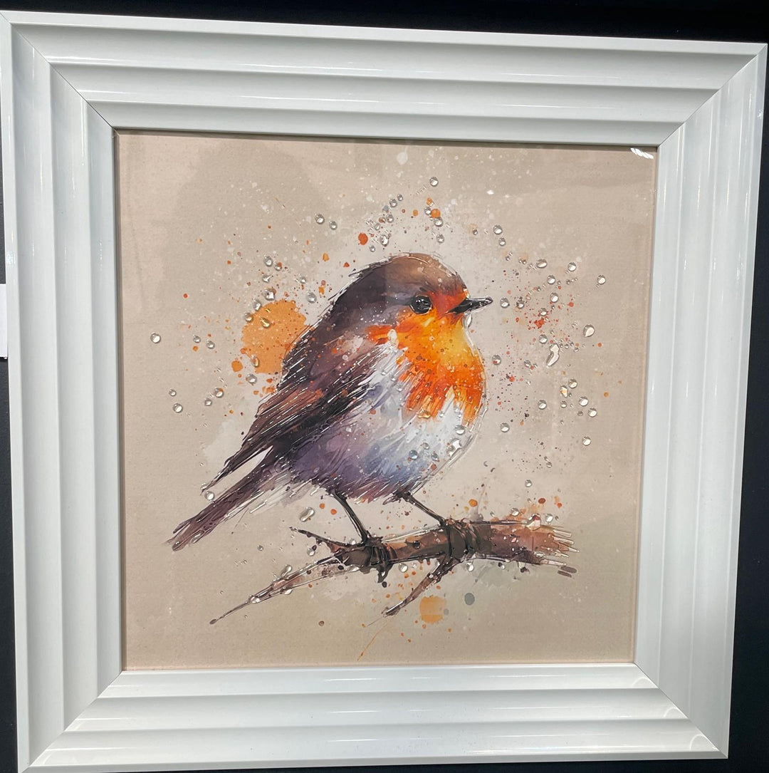 49CM-Robin Bird White Step Framed Picture wall art décor with fitments single or pair