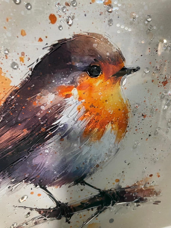 Robin Bird White Step Framed Picture wall art décor with fitments single or pair