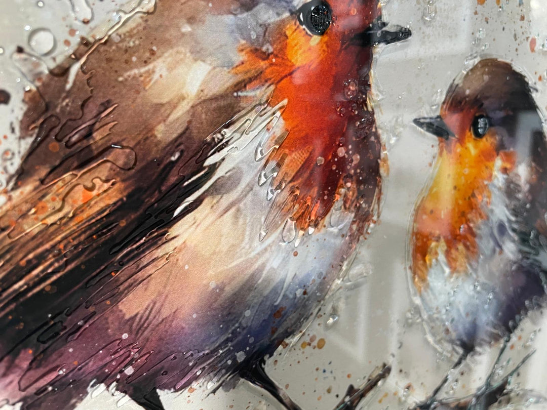 49CM-Robin Bird White Step Framed Picture wall art décor with fitments single or pair