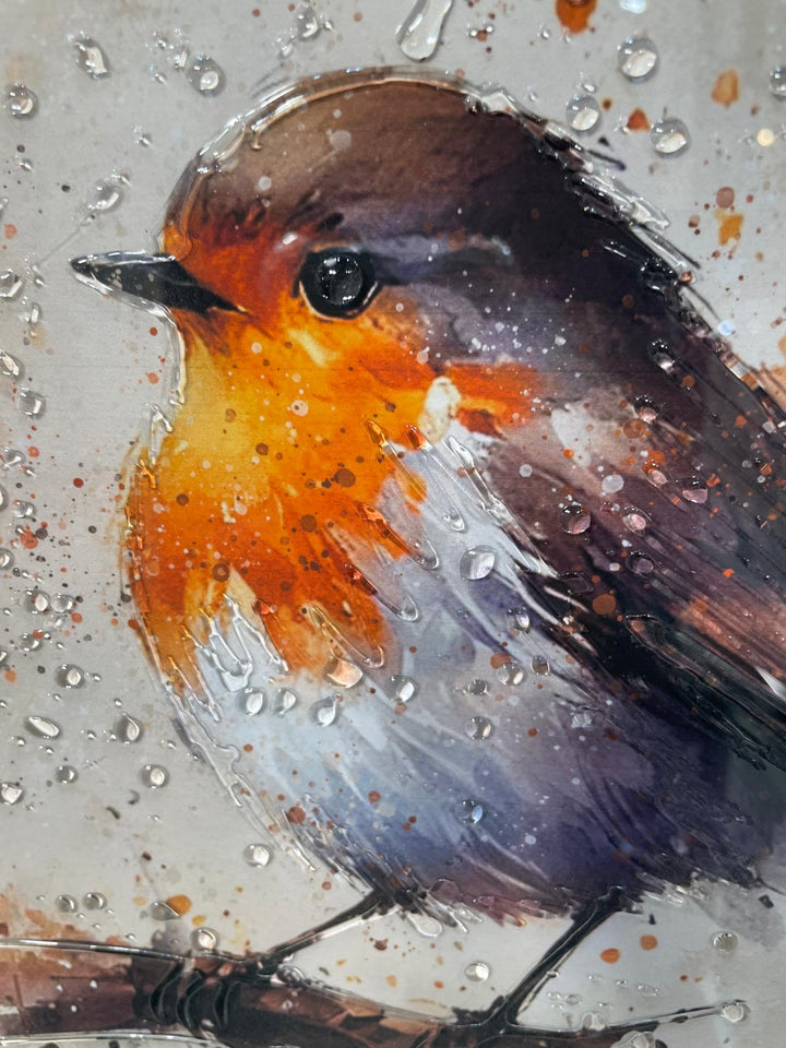 49CM-Robin Bird White Step Framed Picture wall art décor with fitments single or pair