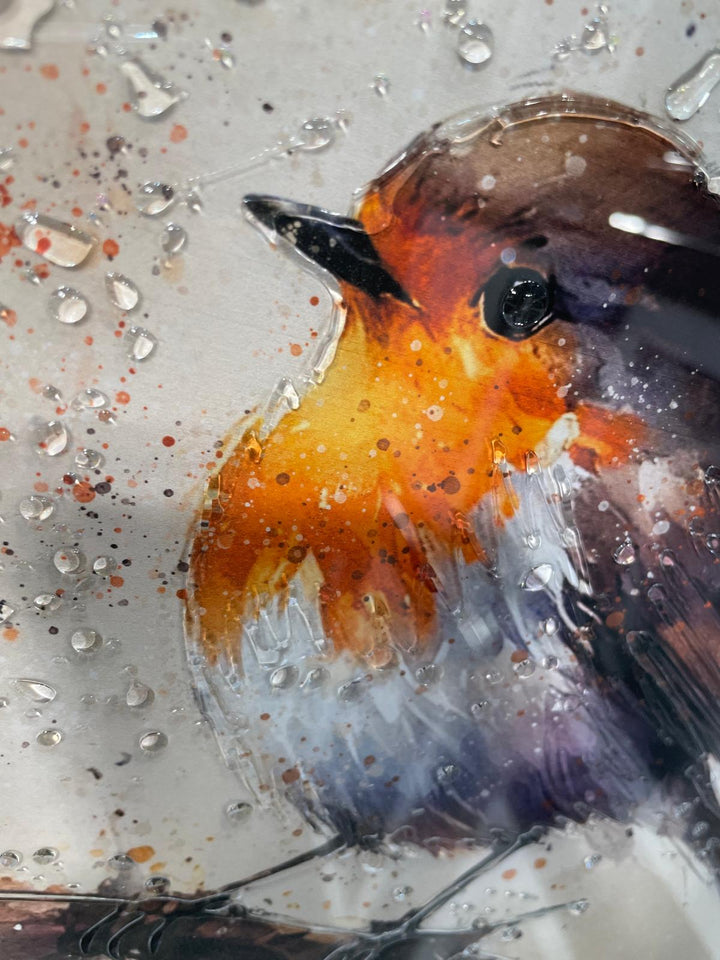 Robin Bird White Step Framed Picture wall art décor with fitments single or pair