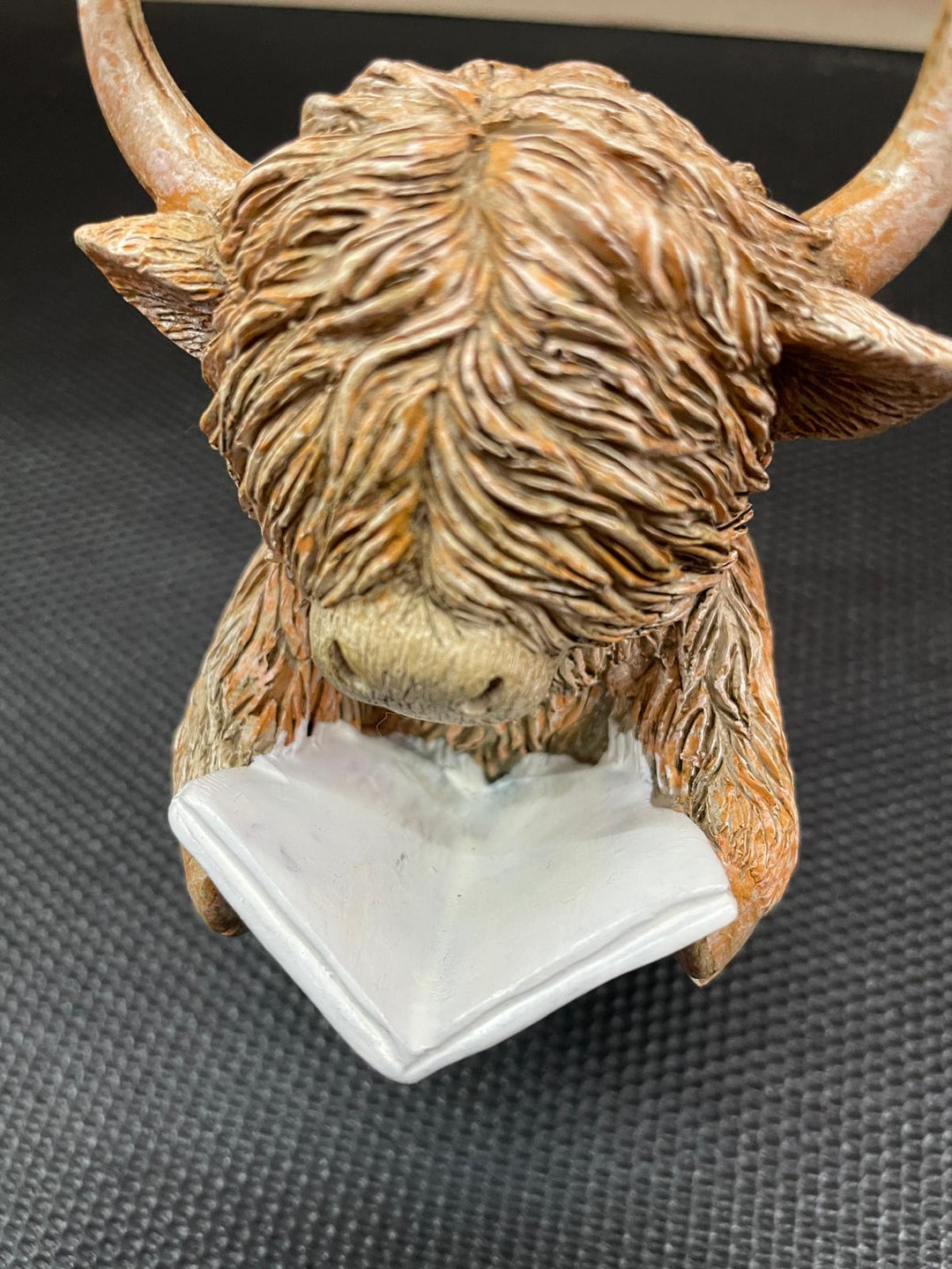 Highland cow in tub & toilet reading book quirky resin ornament