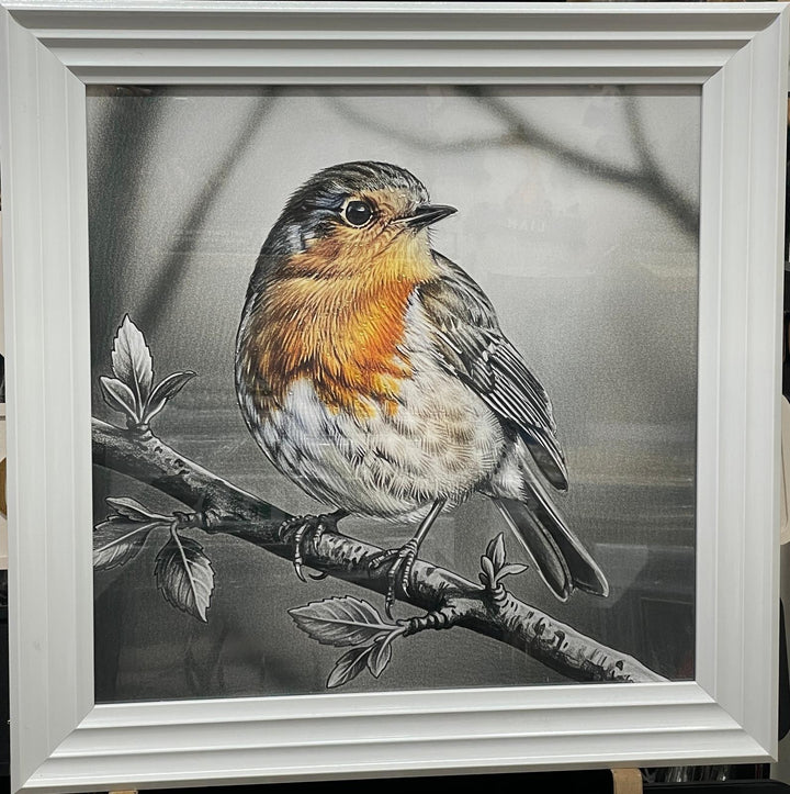 Robin Bird White Step Framed Picture GREY wall art décor with fitments