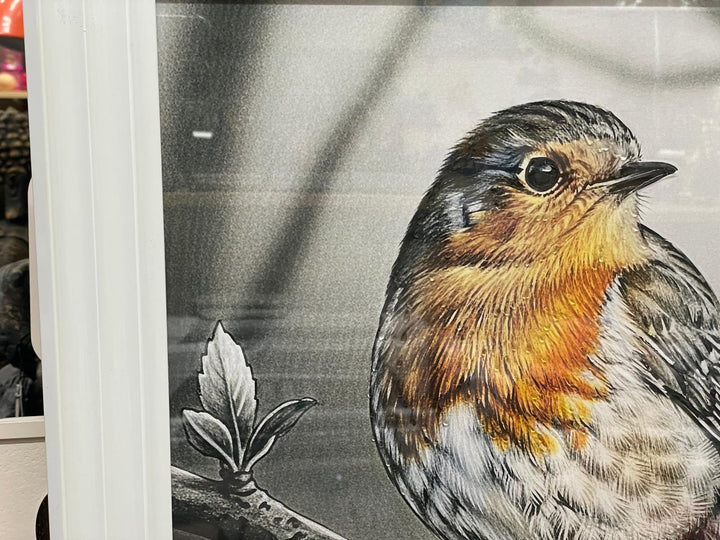 Robin Bird White Step Framed Picture GREY wall art décor with fitments