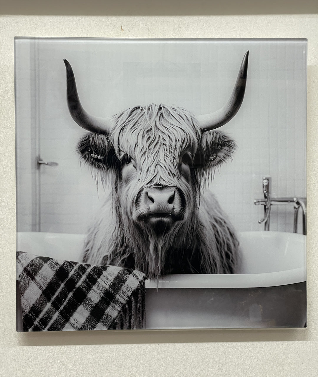 30CM Animals-Dogs, lion, Highland Cow & tiger Tempered Glass quirky Pictures