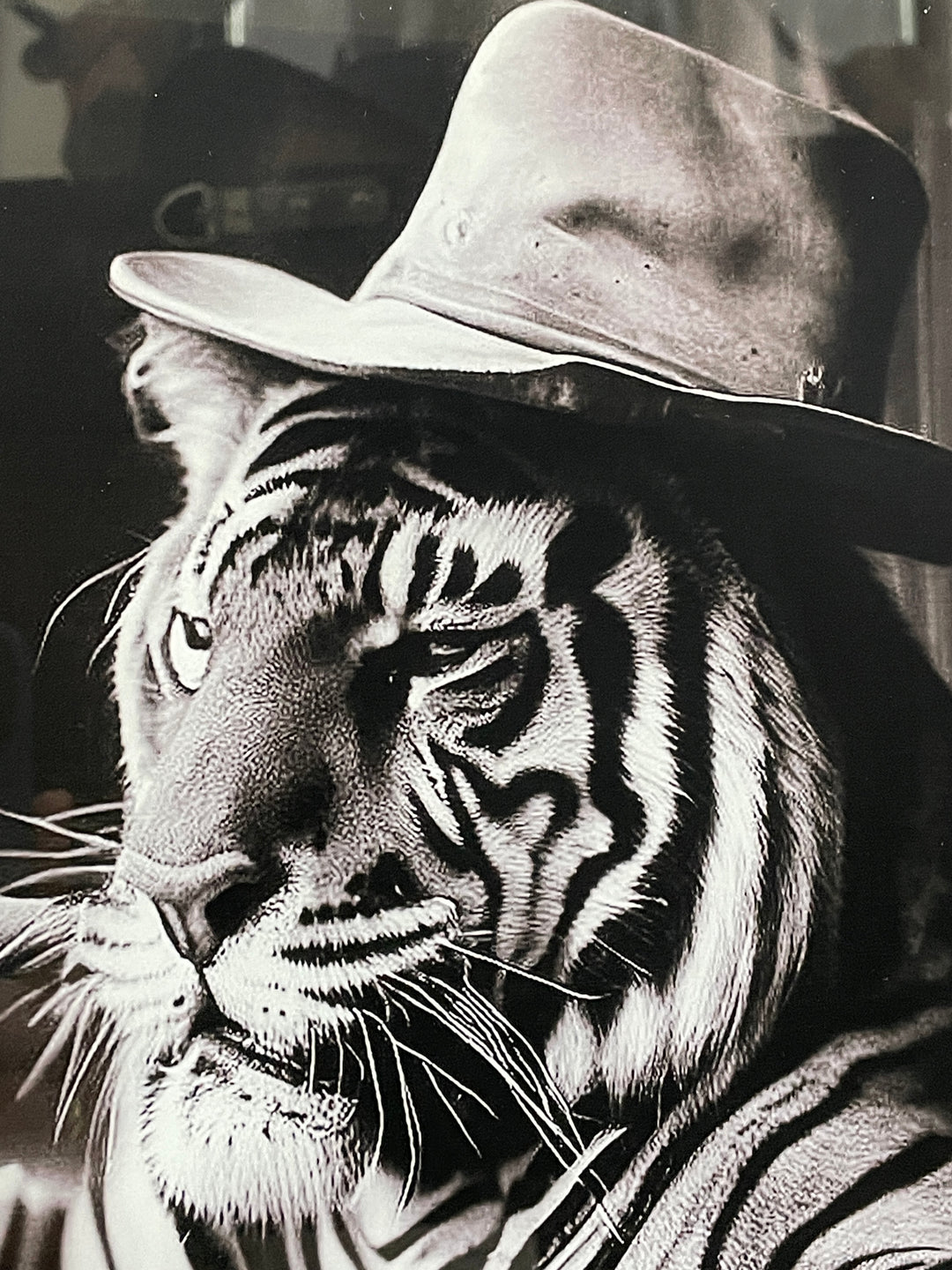 Tiger smoking & wearing hat Wall Art Tempered Glass 30CM