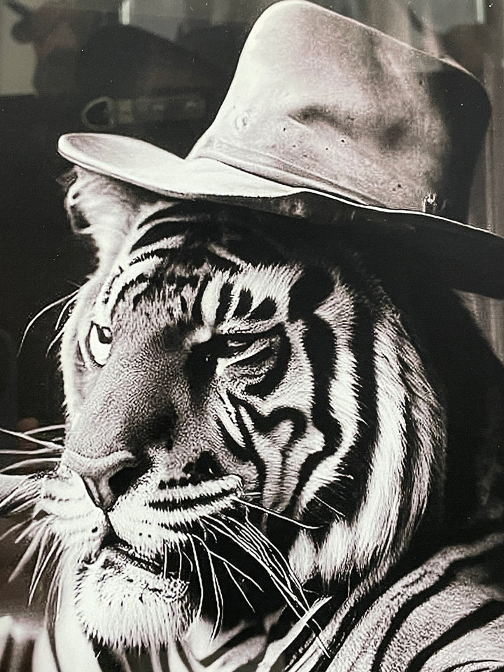 Tiger smoking & wearing hat Wall Art Tempered Glass 30CM