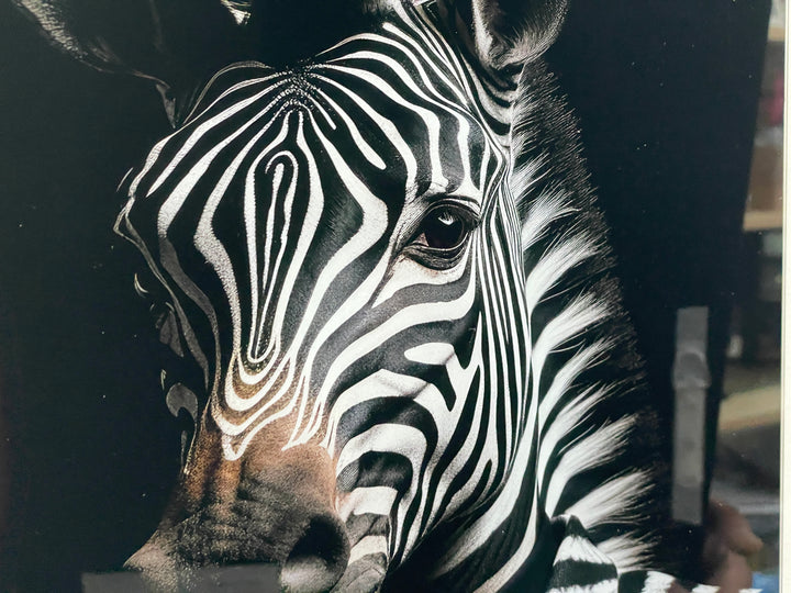 30CM Animals-Dogs, lion, Highland Cow & tiger Tempered Glass quirky Pictures