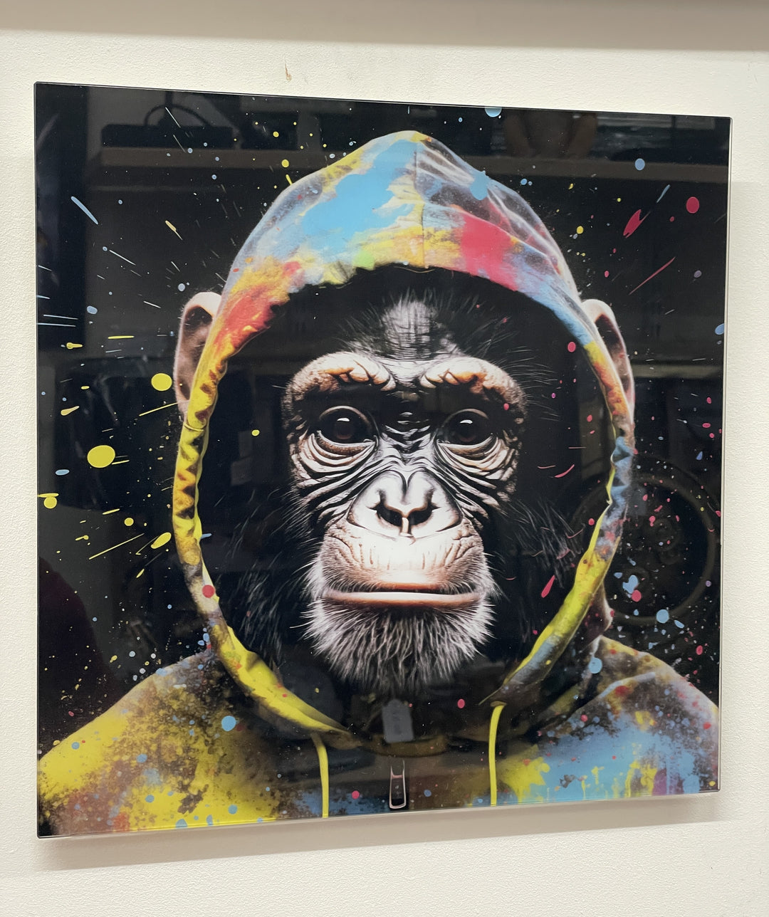 Monkey in a hoodie funky Wall Art Tempered Glass