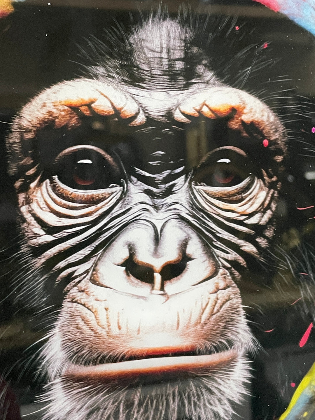 Monkey in a hoodie funky Wall Art Tempered Glass