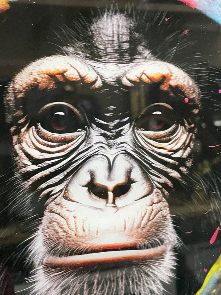 Monkey in a hoodie funky Wall Art Tempered Glass