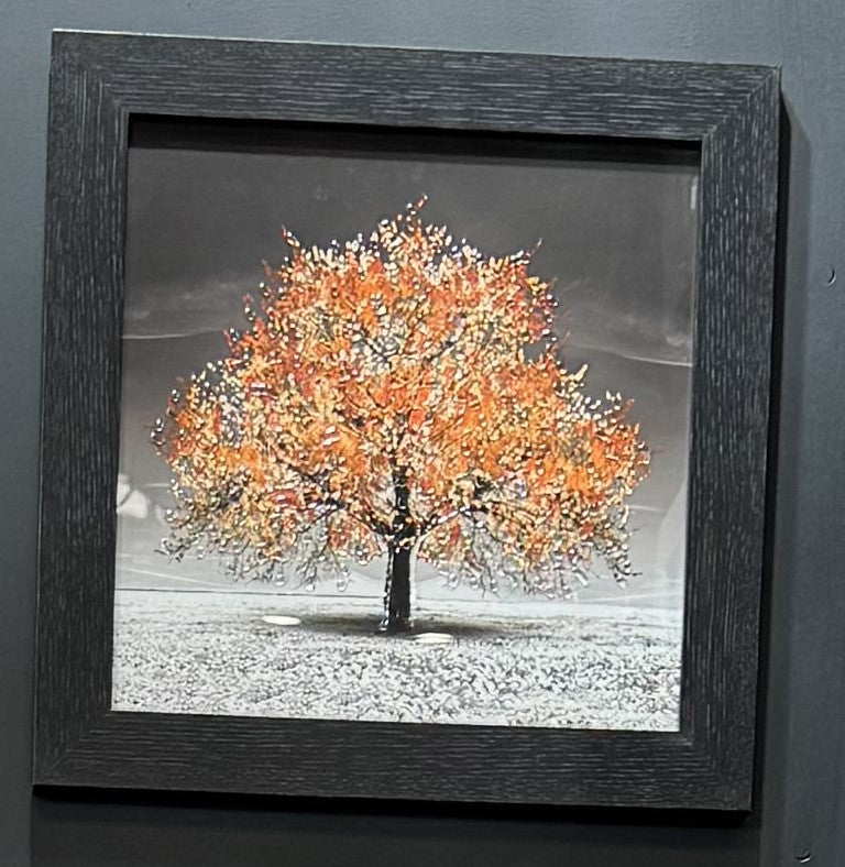 Orange tree black framed square picture