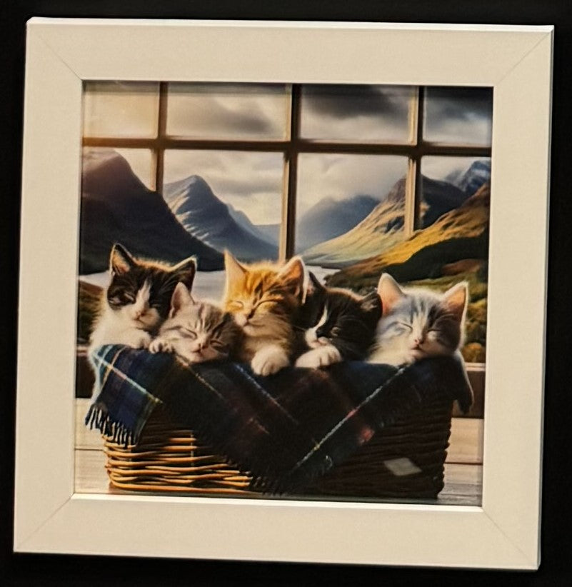 White framed picture of kittens tartan in basket plain