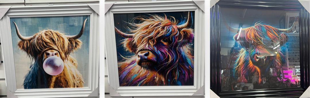 Highland cow bubble/multi colour quirky picture white & Black frame animal wall art