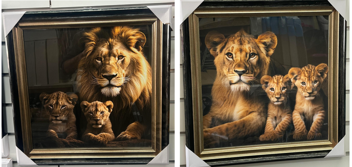 Lion, lioness with 2 cubs black & gold framed step majestic animal picture
