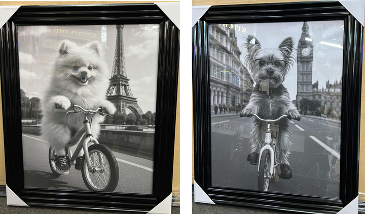 Black & White Adorable Dogs on Bicycles Black Framed Quirky Home Decor Picture