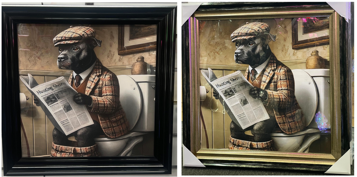 Black Gold step framed Staffy dog checked suit on toilet newspaper picture