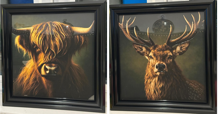 Black Step Frame Stag & Highland Cow Wall Art with liquid art