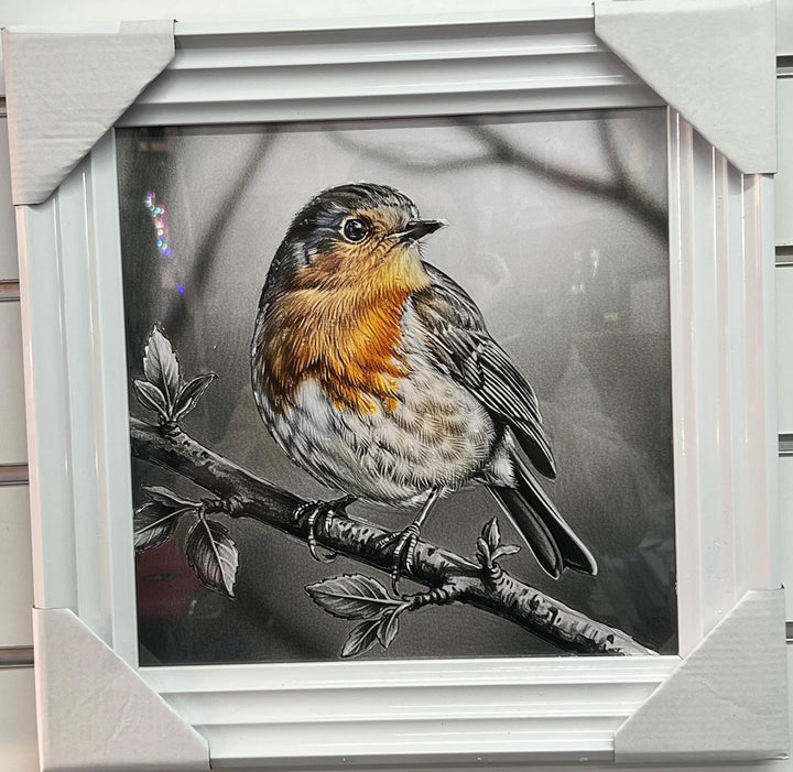 49CM-Robin Bird White Step Framed Picture GREY wall art décor with fitments