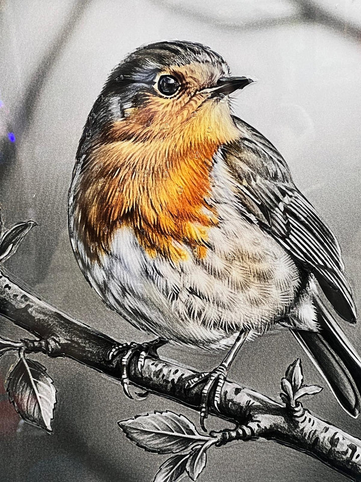 49CM-Robin Bird White Step Framed Picture GREY wall art décor with fitments