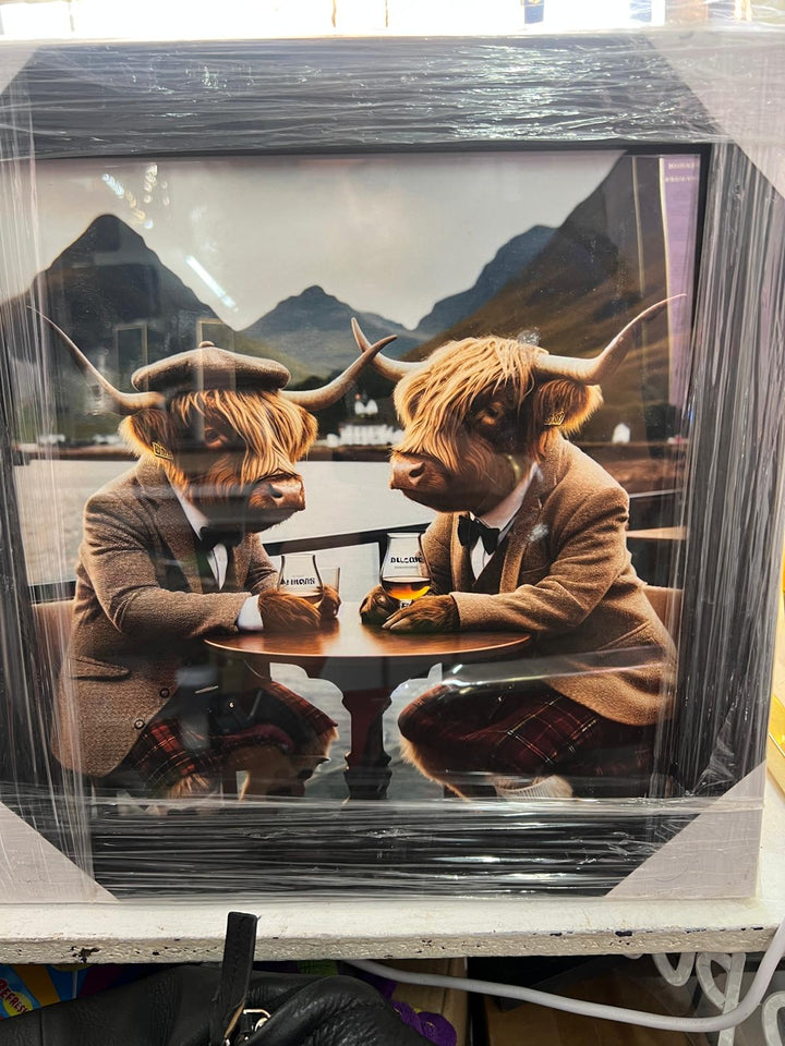 2 Highland cows drinking black frame wall art pictures