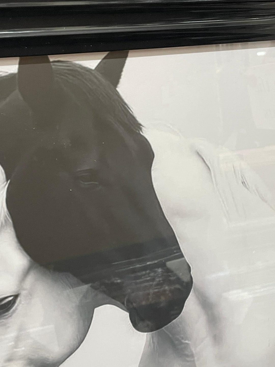 Black and White Horses Hugging Black Step Framed Wall Art