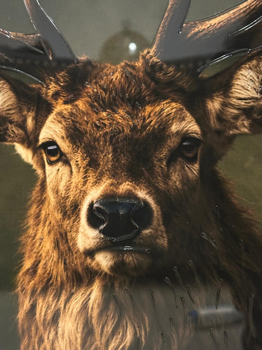 Black Step Frame Stag & Highland Cow Wall Art with liquid art