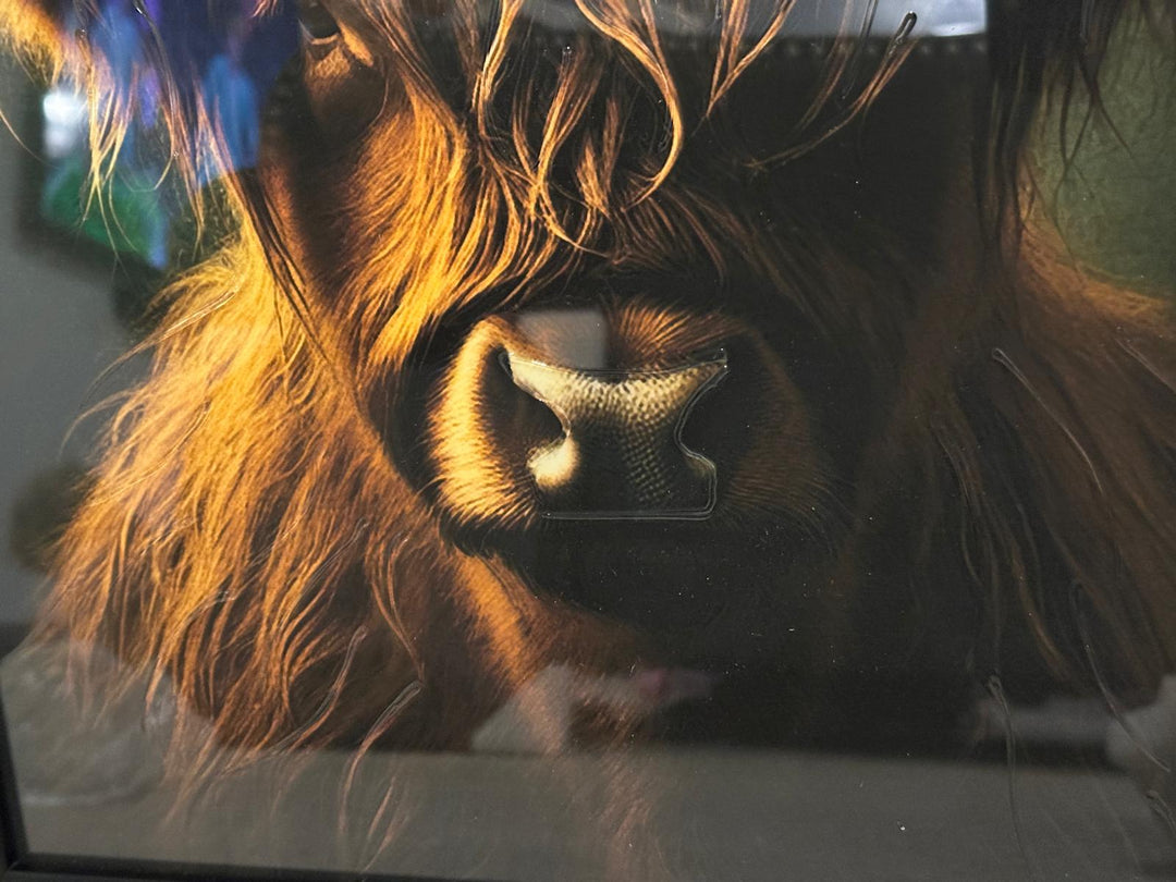 Black Step Frame Stag & Highland Cow Wall Art with liquid art