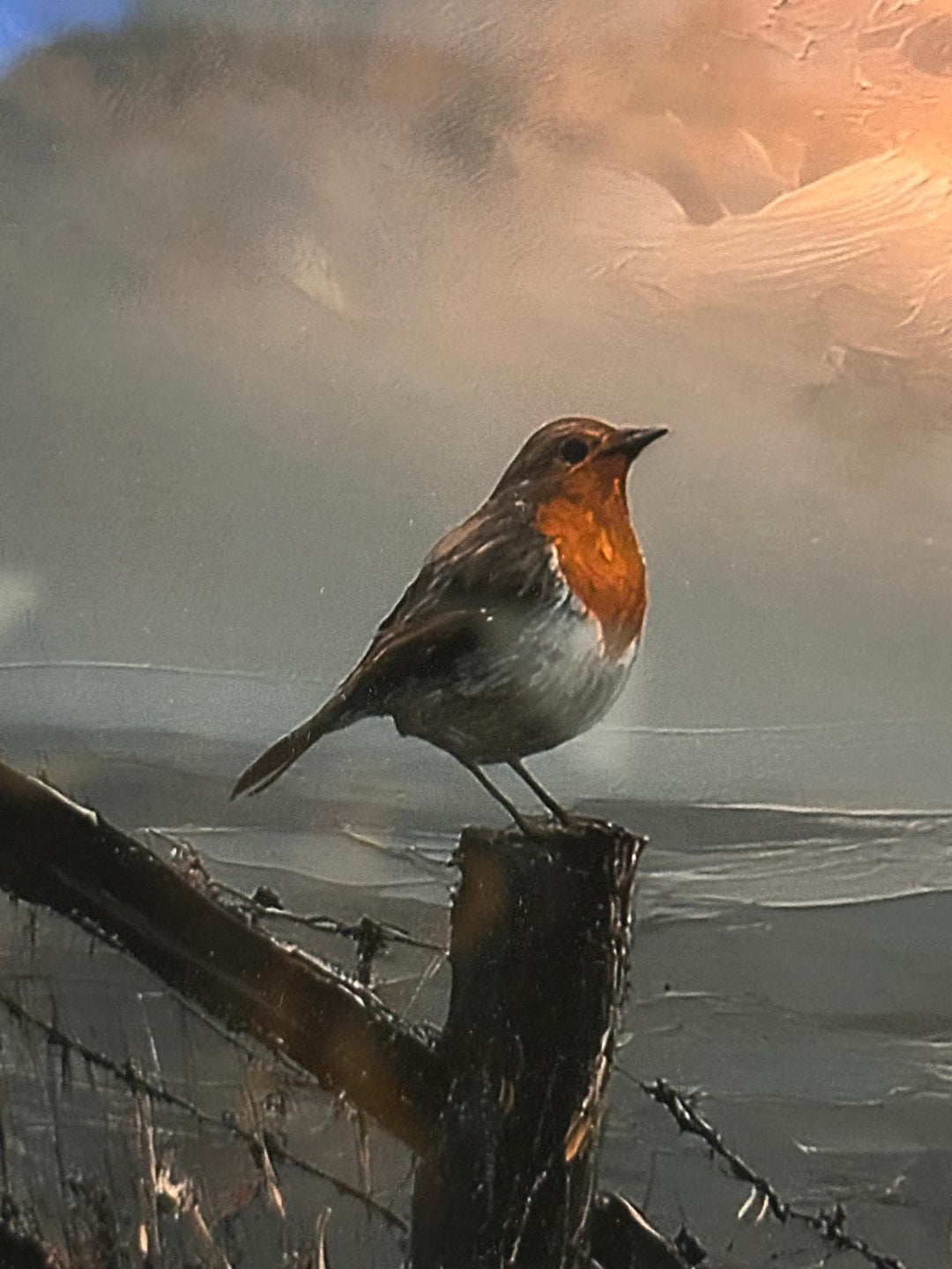 Robin Bird & Pathway Wall Art Black Step Frame Painting Effect Picture