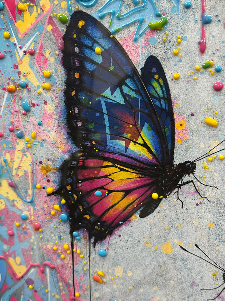 Multi Colour 2 Butterfly Drip Art Resin Picture | Liquid Abstract Wall Art in White Step Frame | Contemporary Home Decoration