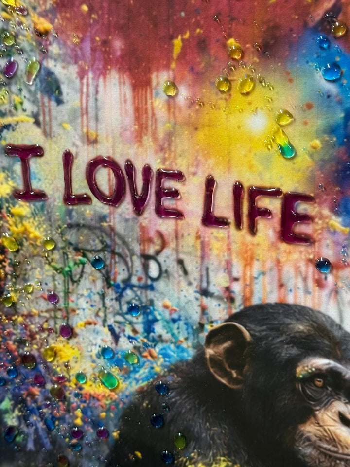 Banksy Inspired Monkey “I Love Life” Resin Wall Art | Liquid Abstract Graffiti Picture in Black Frame | Contemporary Street Art Decor