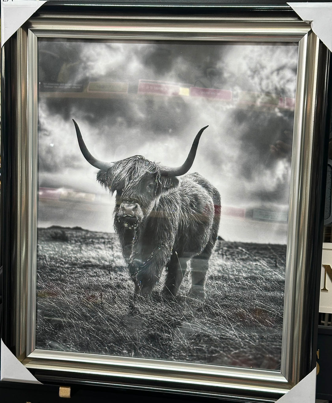 Black & White Highland Cow Wall Art with Two-Tone Frame | Liquid Art Resin Framed Picture