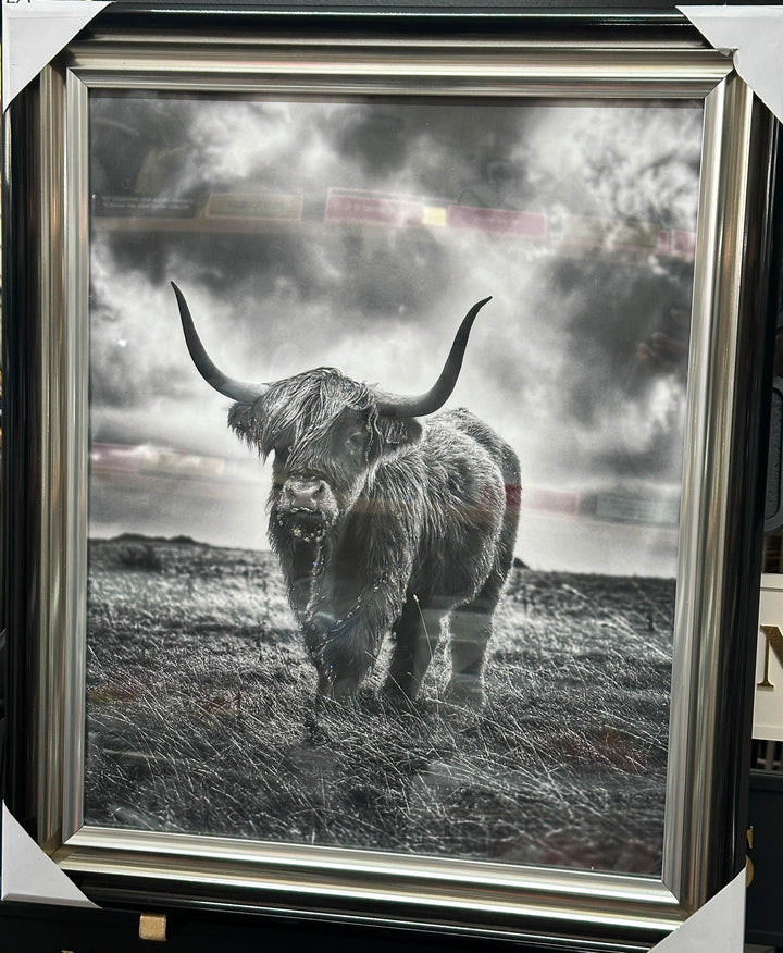 Black & White Highland Cow Wall Art with Two-Tone Frame | Liquid Art Resin Framed Picture