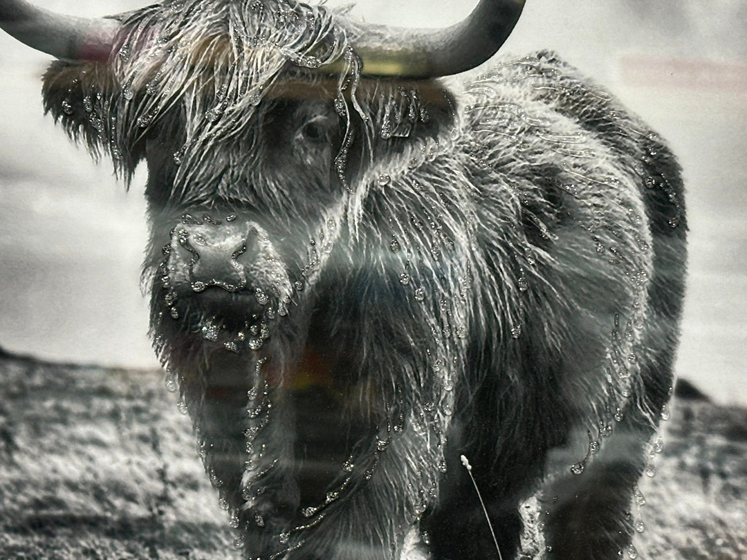 Black & White Highland Cow Wall Art with Two-Tone Frame | Liquid Art Resin Framed Picture