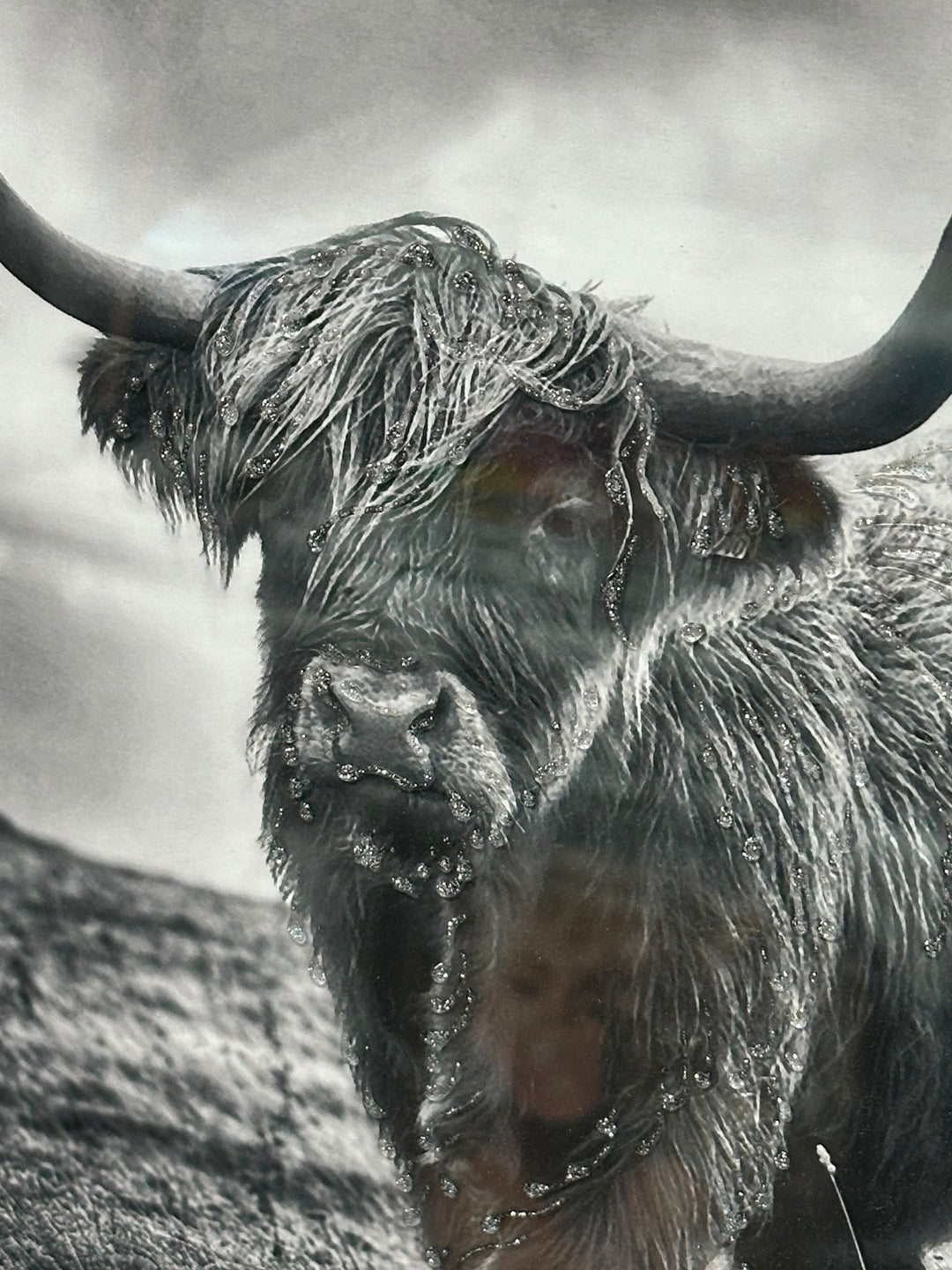 Black & White Highland Cow Wall Art with Two-Tone Frame | Liquid Art Resin Framed Picture