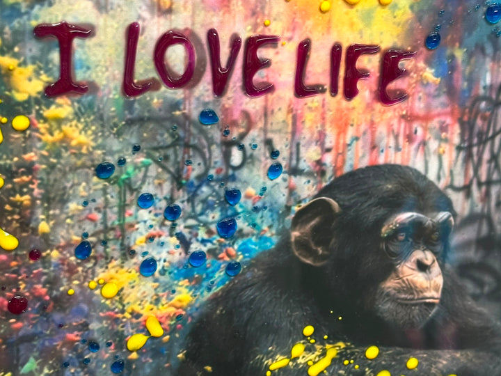 Monkey "I Love Life" Wall Art with 3D Liquid Art Resin & Black Frame | Contemporary Framed Artwork