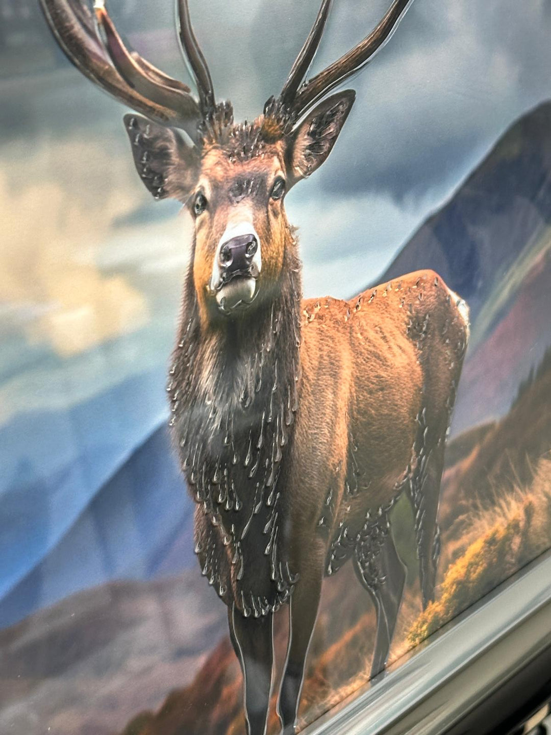 2 Stags in the Highlands Liquid Art Wall Art | Luxury Wildlife Canvas with Two-Tone Frame