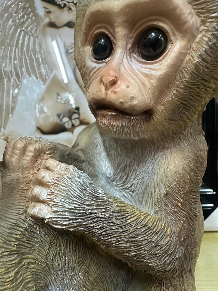 Resin Monkey Ornaments Eating Apple & Grooming | Cute Monkey Figurine Home Décor