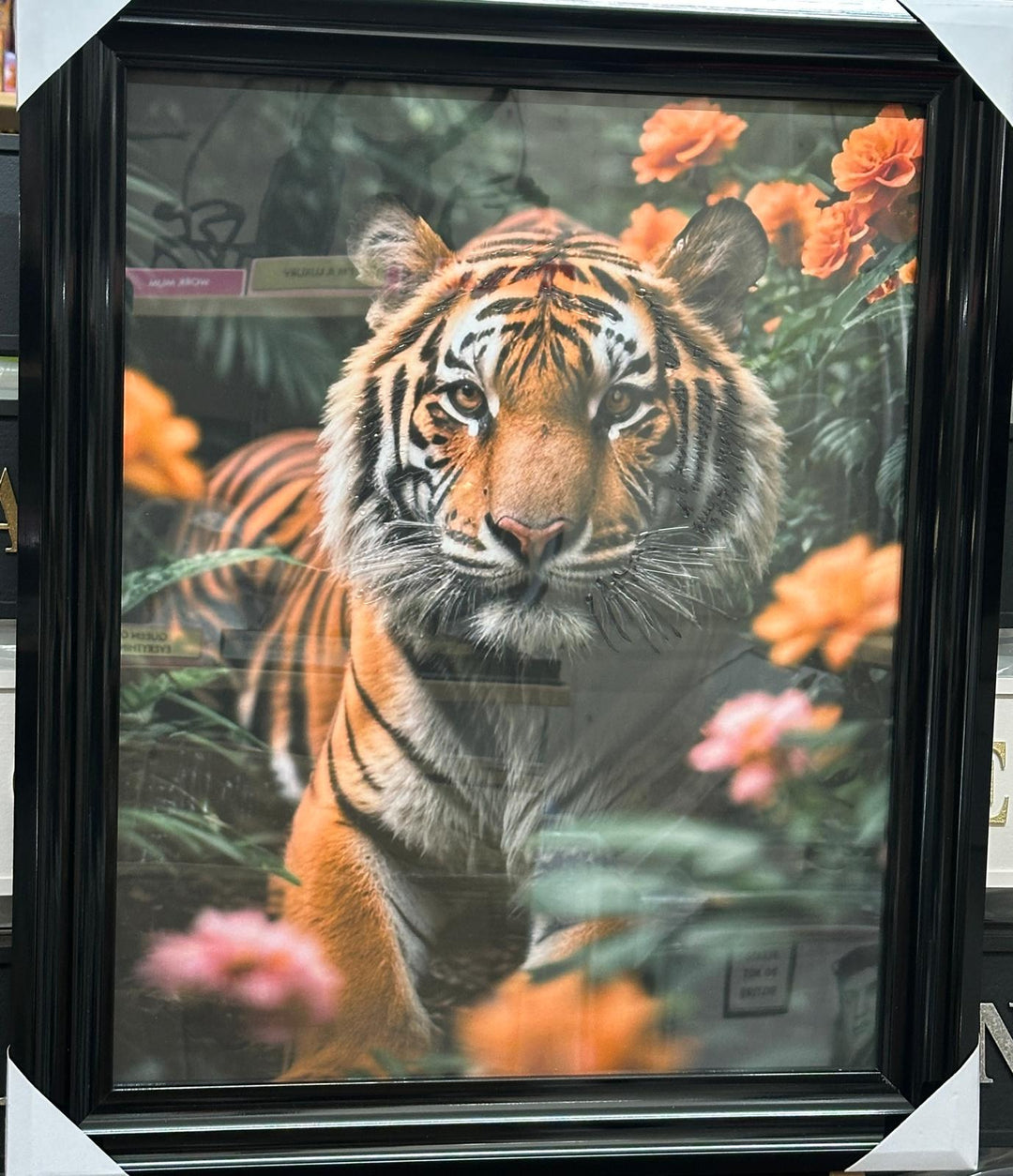 Tiger Wall Art – Sitting Tiger Liquid Art Picture with Black Frame | Statement Animal Décor