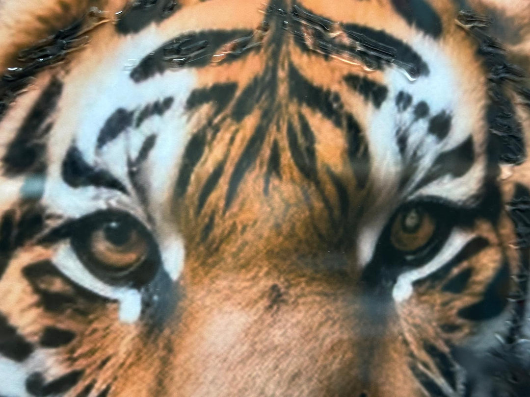 Tiger Wall Art – Sitting Tiger Liquid Art Picture with Black Frame | Statement Animal Décor