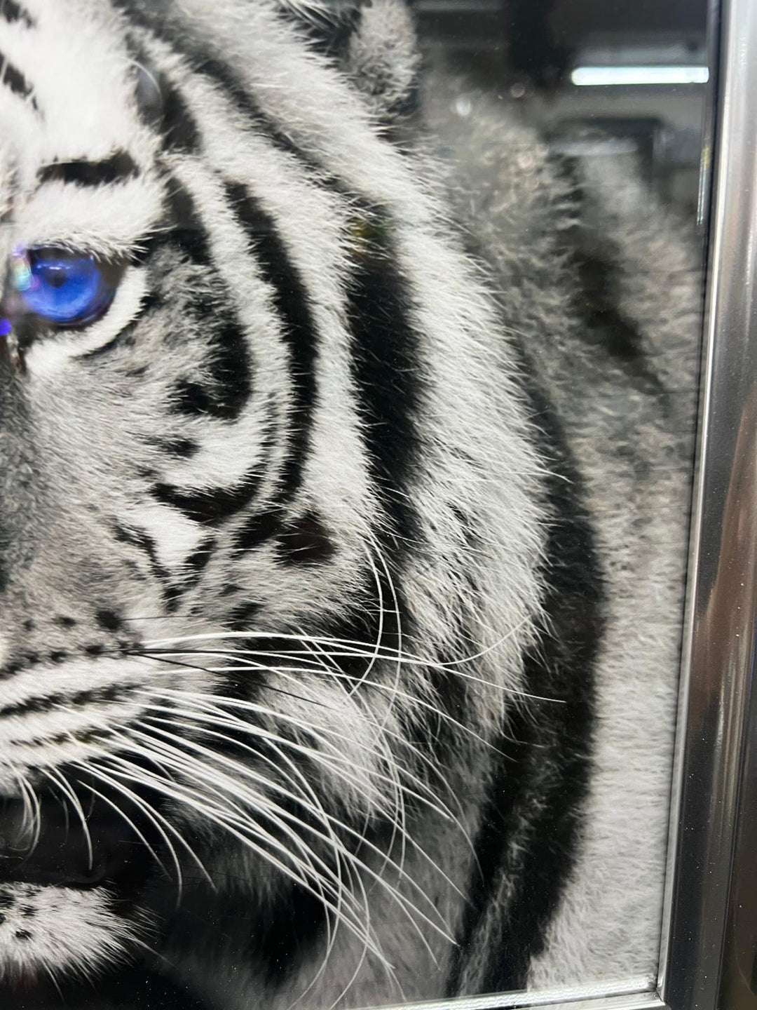 Majestic Tiger Blue Eyes Wall Art Liquid Art Crystals 2 Tone Black Silver frame