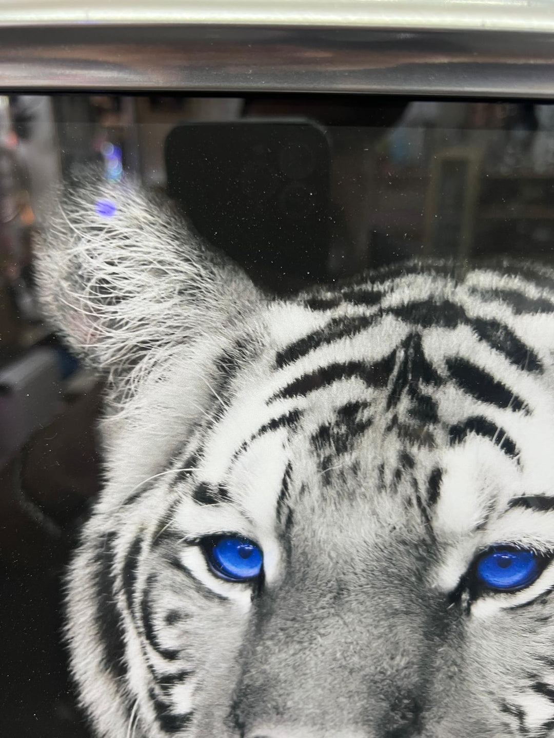 Majestic Tiger Blue Eyes Wall Art Liquid Art Crystals 2 Tone Black Silver frame
